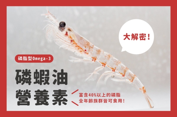 磷蝦油是什麼? 磷蝦油營養素懶人包：磷脂型Omega-3