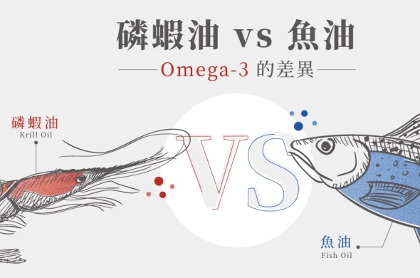 磷蝦油 vs. 魚油的Omega-3 差異比較